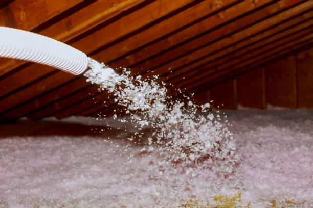 Best Attic Insulation Installation  in Earlham, IA